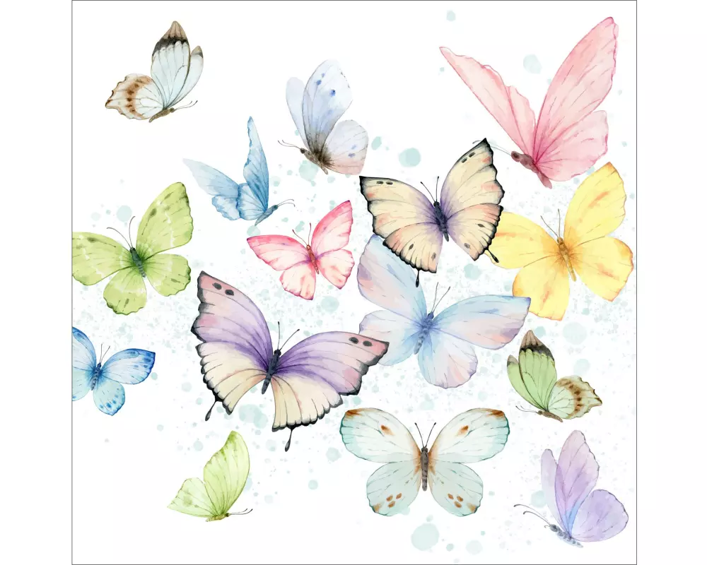 Braun + Company Serviette Soft Whisper 33 x 33 cm, 20 Stück