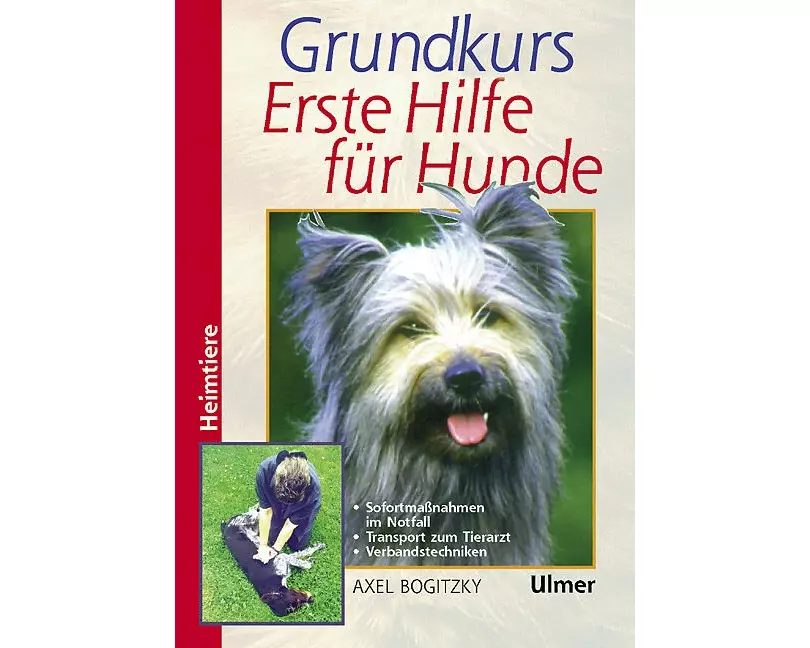 Grundkurs Erste Hilfe für Hunde