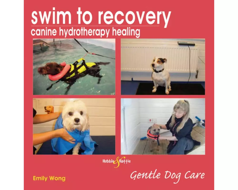 Swim to Recovery: Canine Hydrotherapy Healing