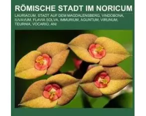 Römische Stadt im Noricum