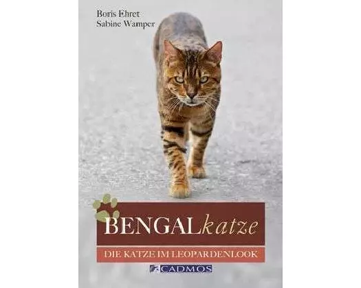 Bengalkatze