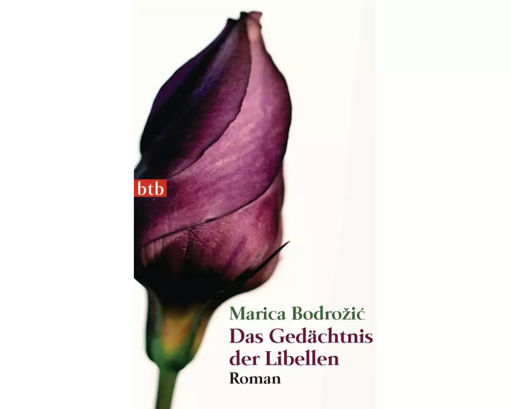 Das Gedächtnis der Libellen