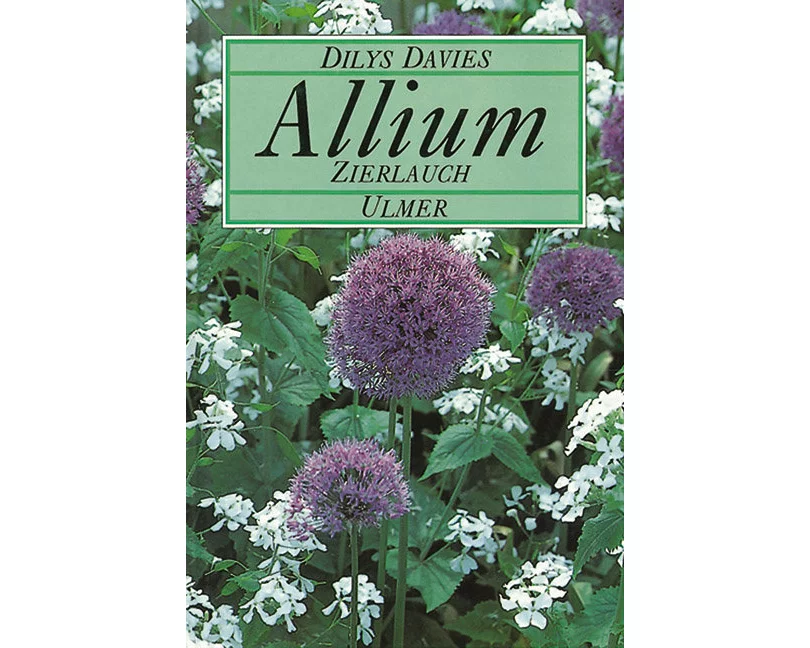 Allium