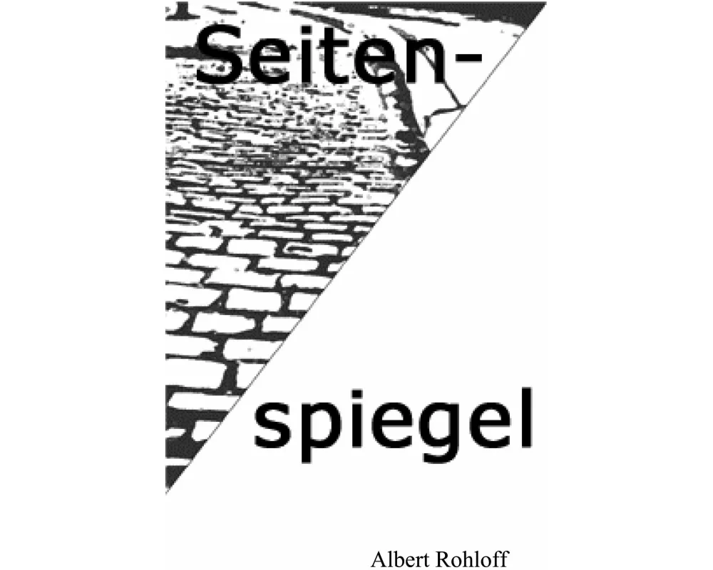 Seitenspiegel