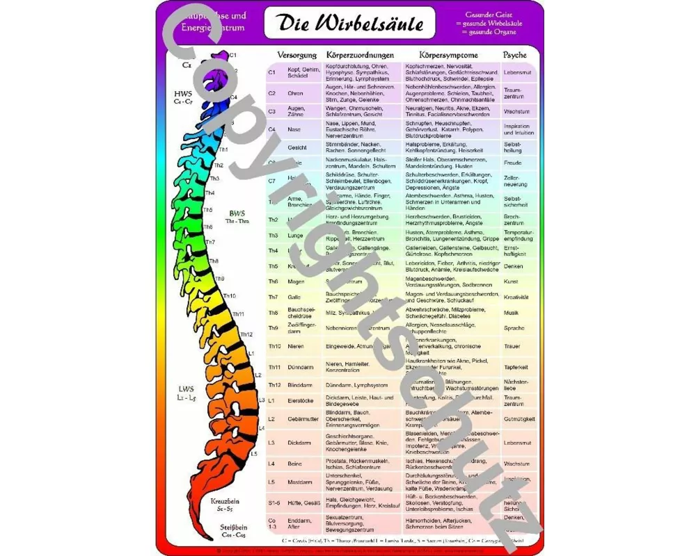 Wirbelsäulenzuordnungen - A4