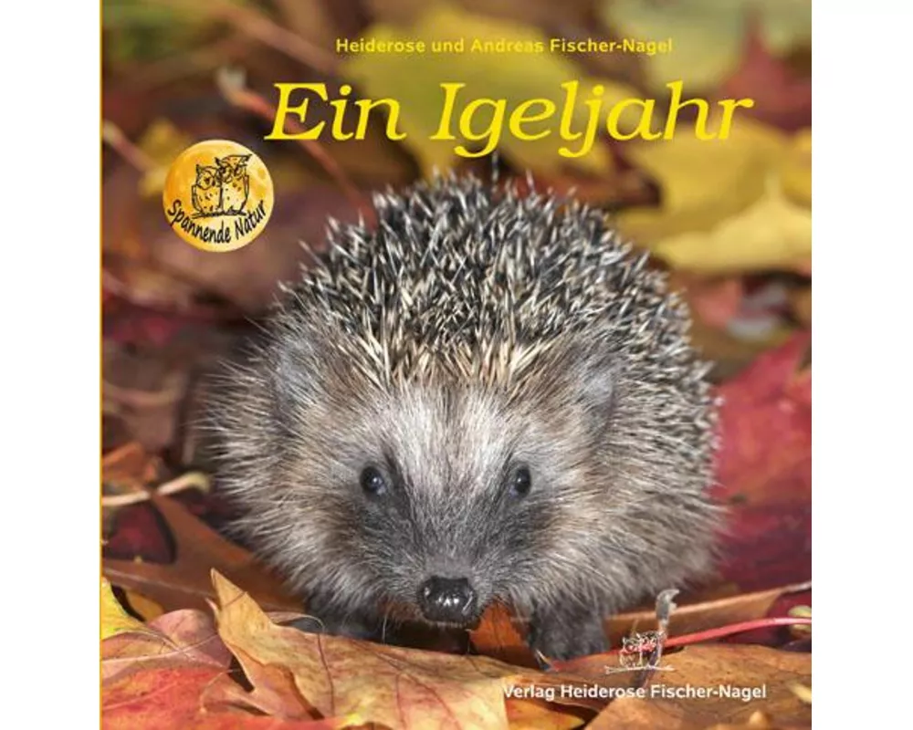 Ein Igeljahr