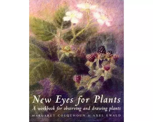 New Eyes for Plants