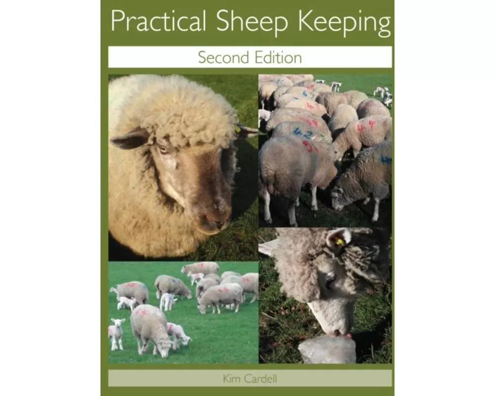 Practical Sheep Keeping