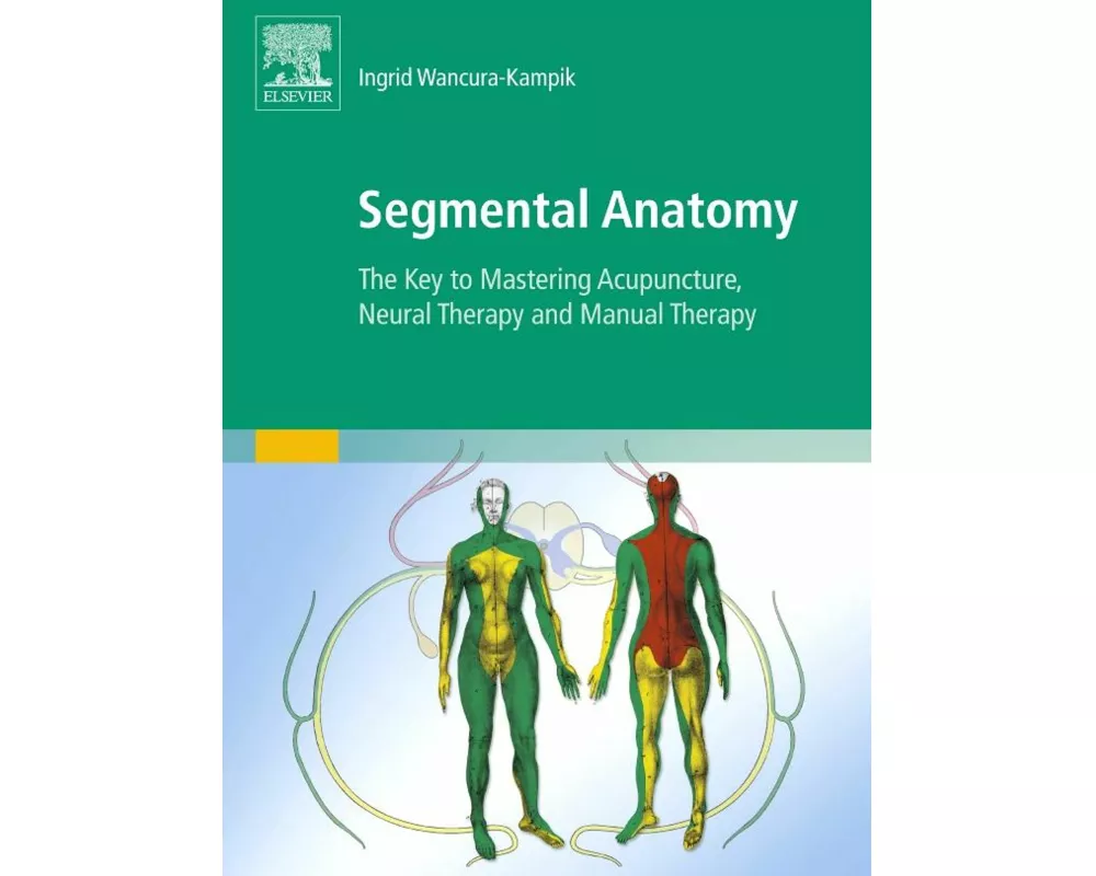 Segmental Anatomy