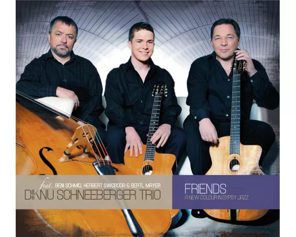 Friends-A New Colour In Gypsy Jazz