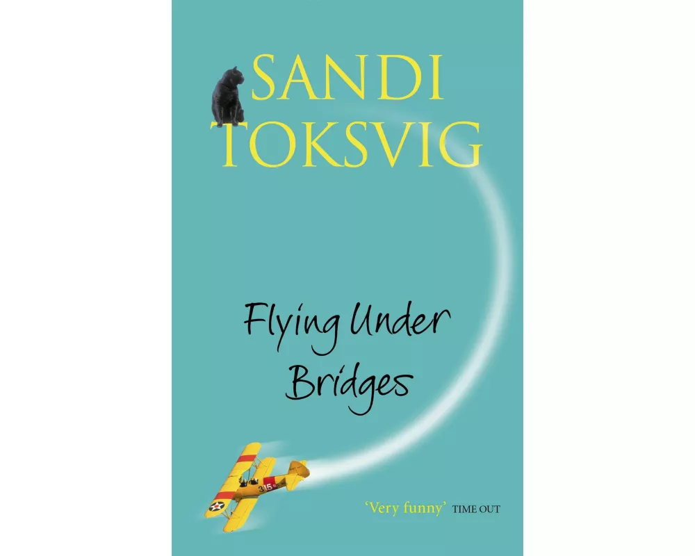 Flying Under Bridges