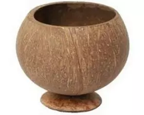 TIKI COLLECTION Cocktailbecher Tiki Coconut Natural 500 ml, 1 Stück, Braun