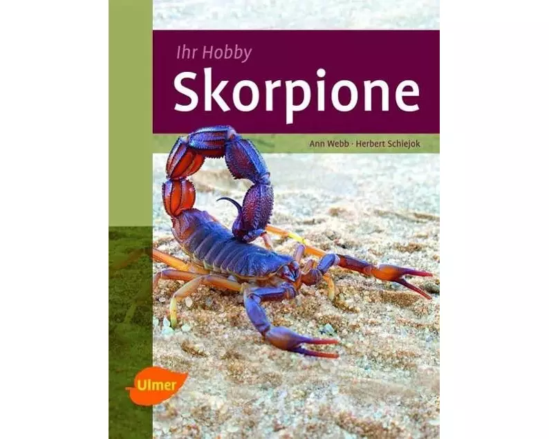 Skorpione
