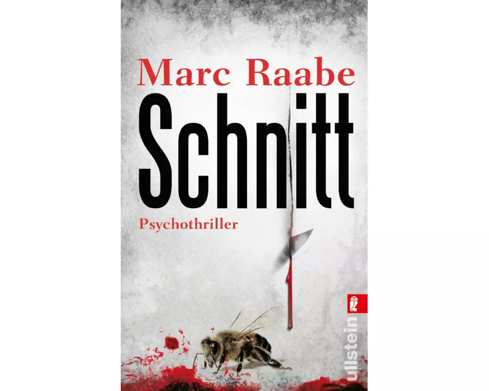 Schnitt