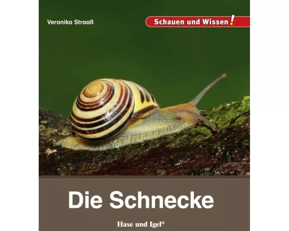 Die Schnecke