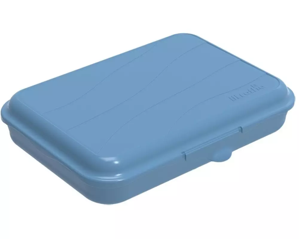 Rotho Lunchbox Fun 750 ml, Blau