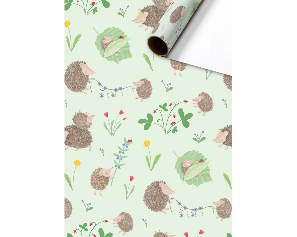 Stewo Geschenkpapier Riccio 70 cm × 2 m, 80 g/m², 1 Stück, Grün