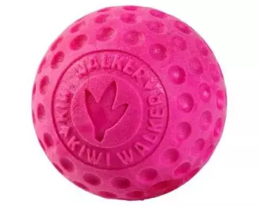 KIWI WALKER Hunde-Spielzeug Ball Rosa, S, Ø 6 cm