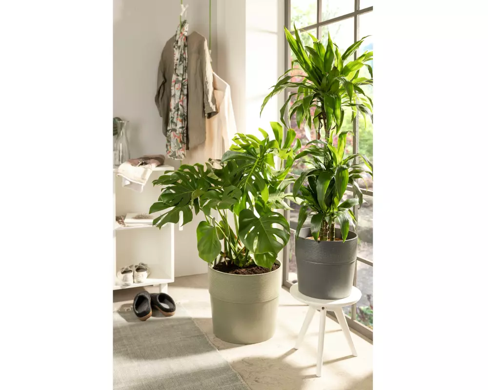 scheurich Blumentopf Groove 18.8 cm, Khaki