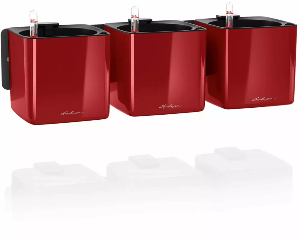 Lechuza Blumentopf Green Wall Home Kit Dunkelrot