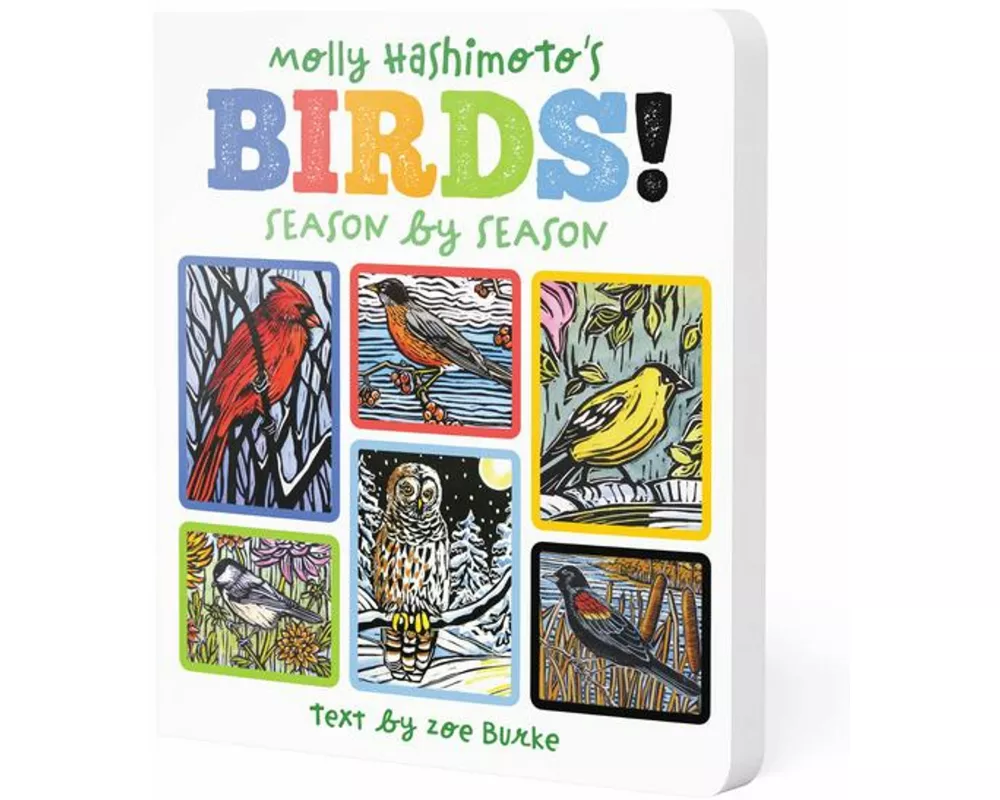 Molly Hashimoto's Bvirds