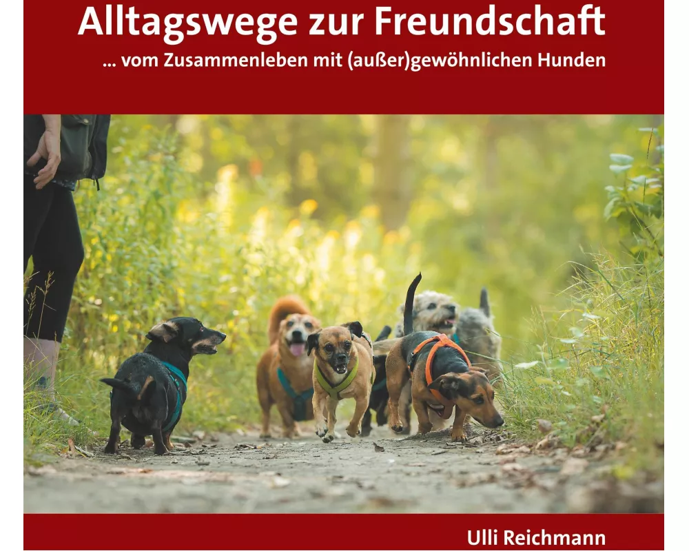 Alltagswege zur Freundschaft