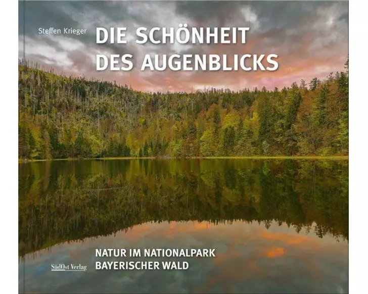 Die Schönheit des Augenblicks