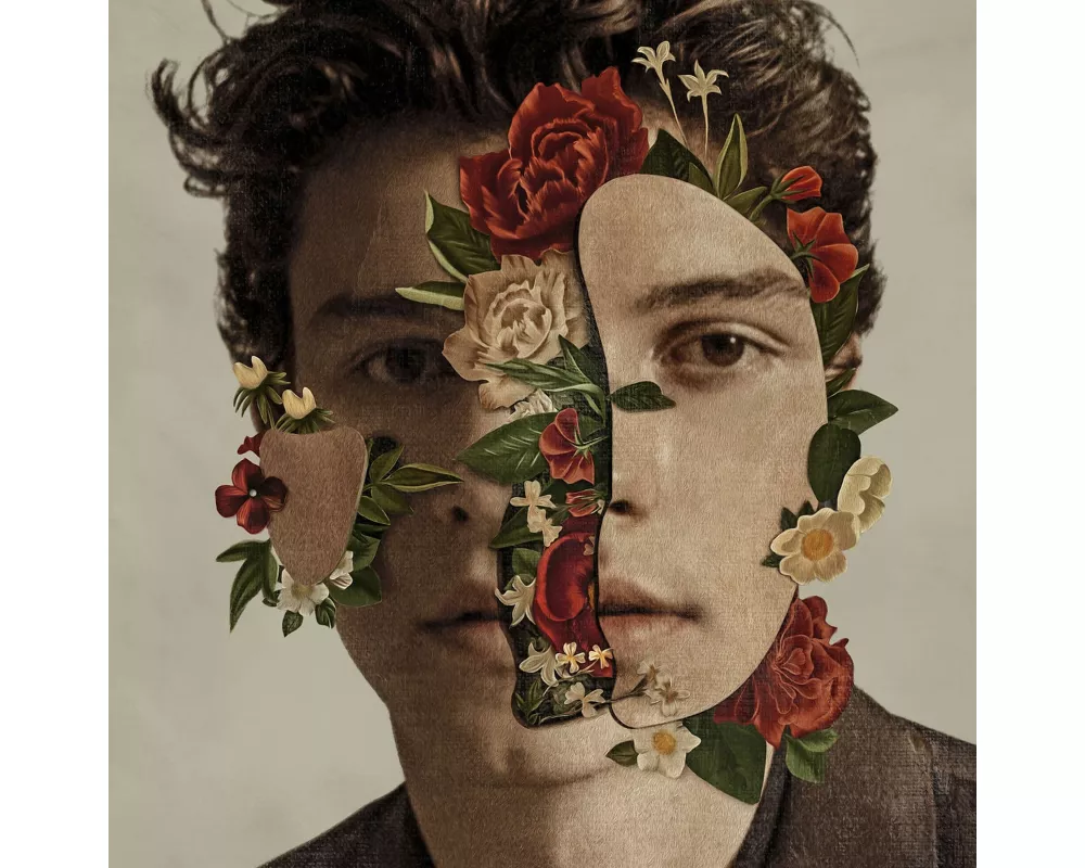 Shawn Mendes