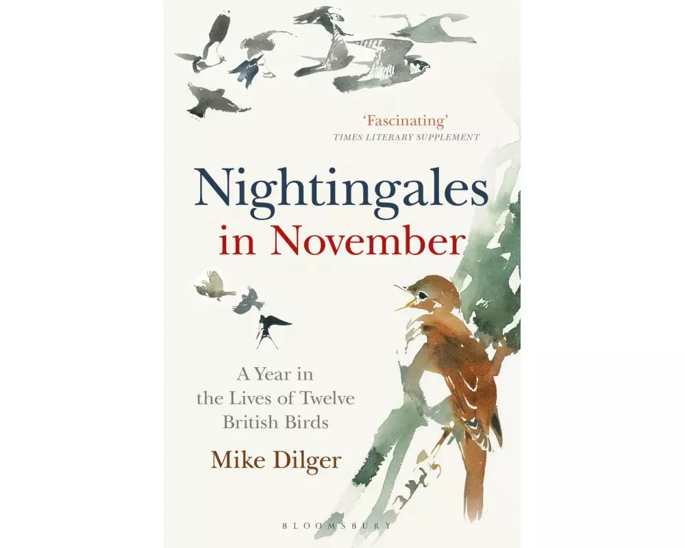 Nightingales in November