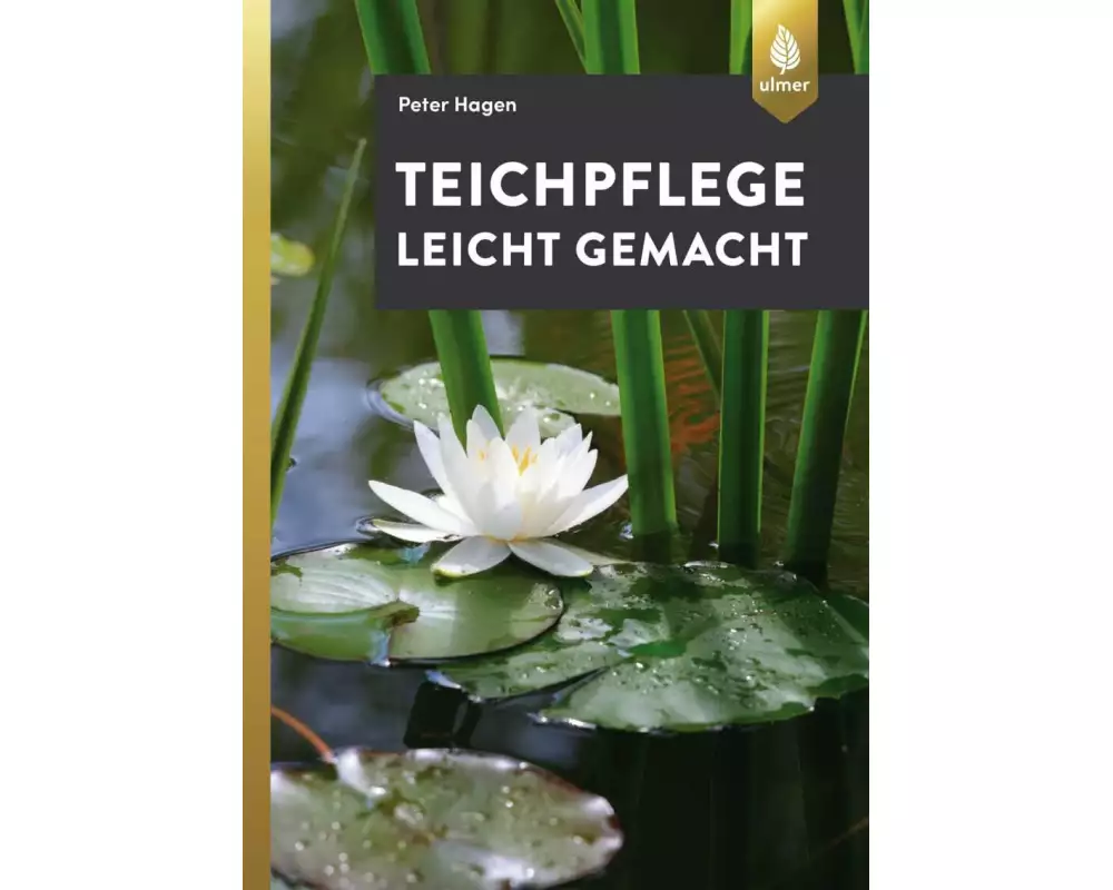 Teichpflege leicht gemacht