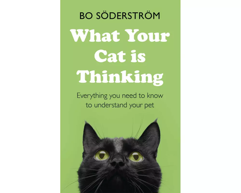 What Your Cat Is Thinking