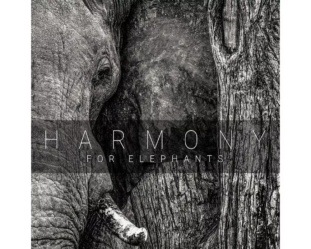 Harmony For Elephants ~ A Charity Album