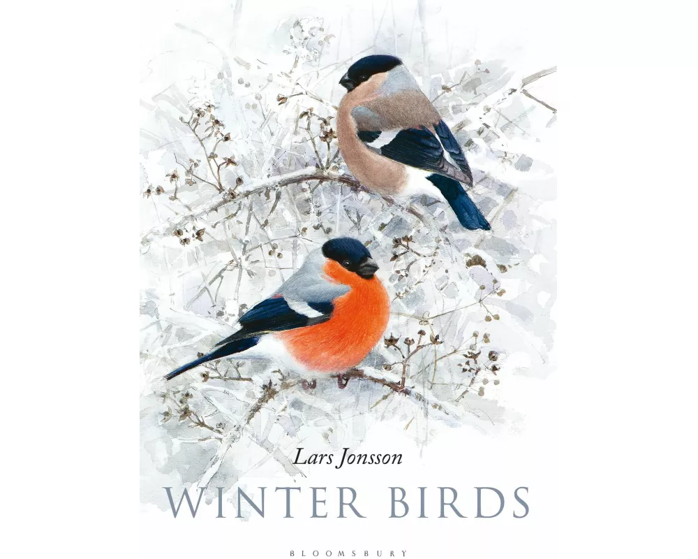 Winter Birds