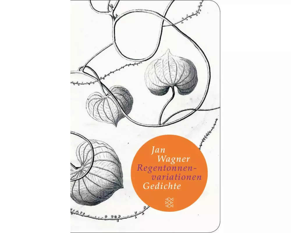 Regentonnenvariationen