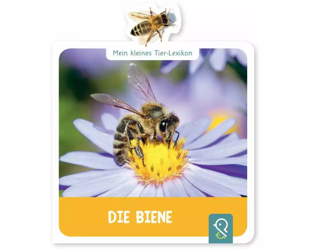 Mein kleines Tier-Lexikon - Die Biene