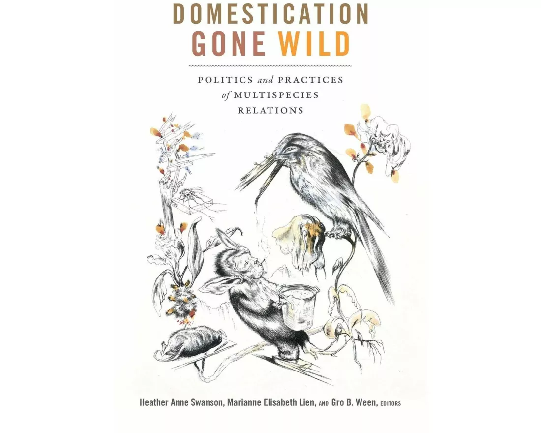 Domestication Gone Wild