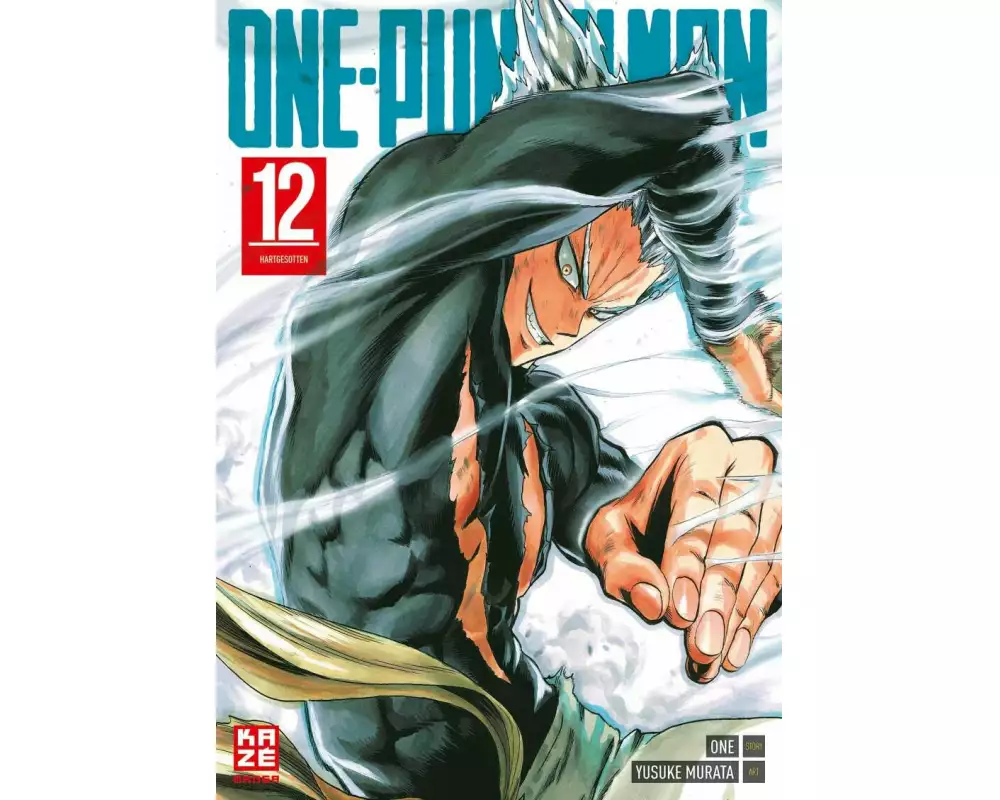 One-punch Man 12