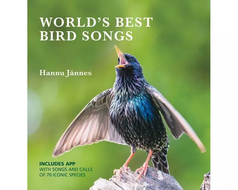 World's Best Bird Songs