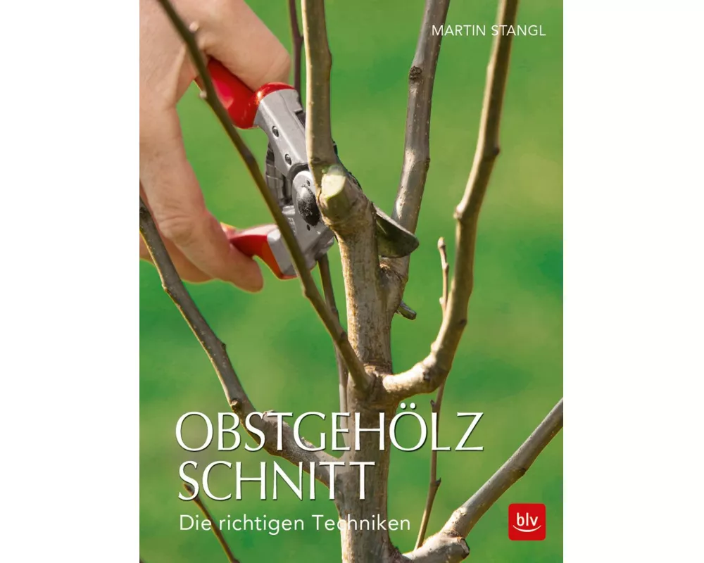 Obstgehölzschnitt