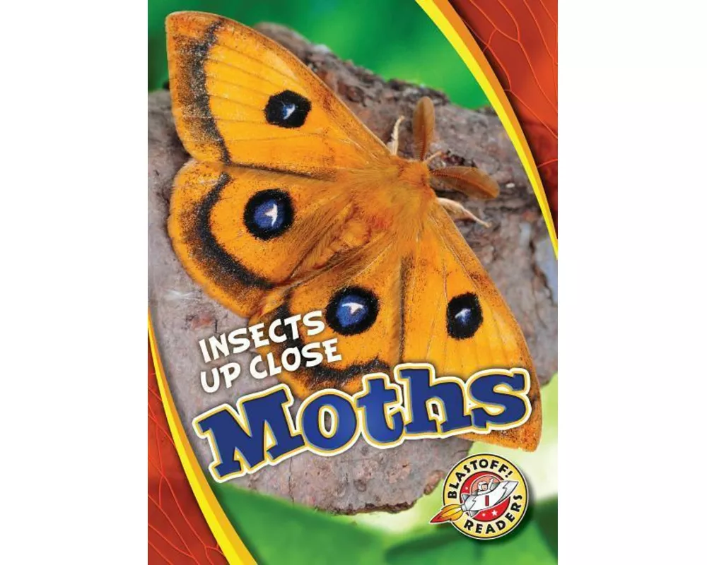 Moths