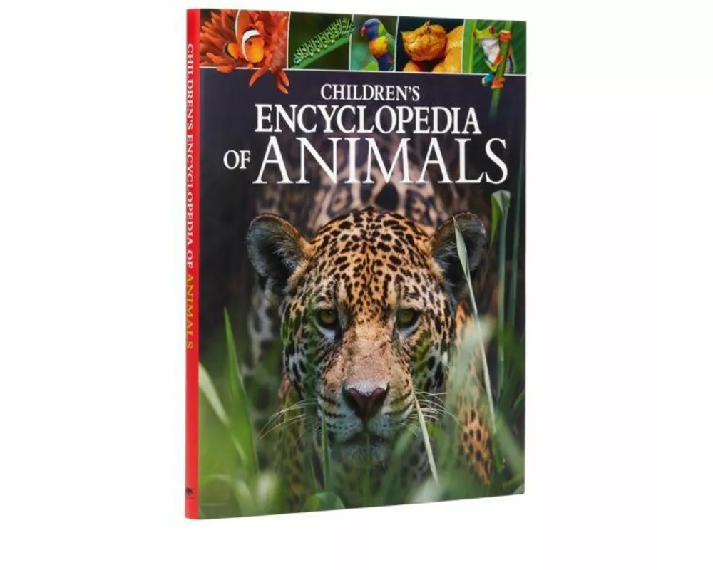 Children'S Encyclopedia of Animals