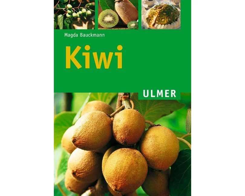 Kiwi