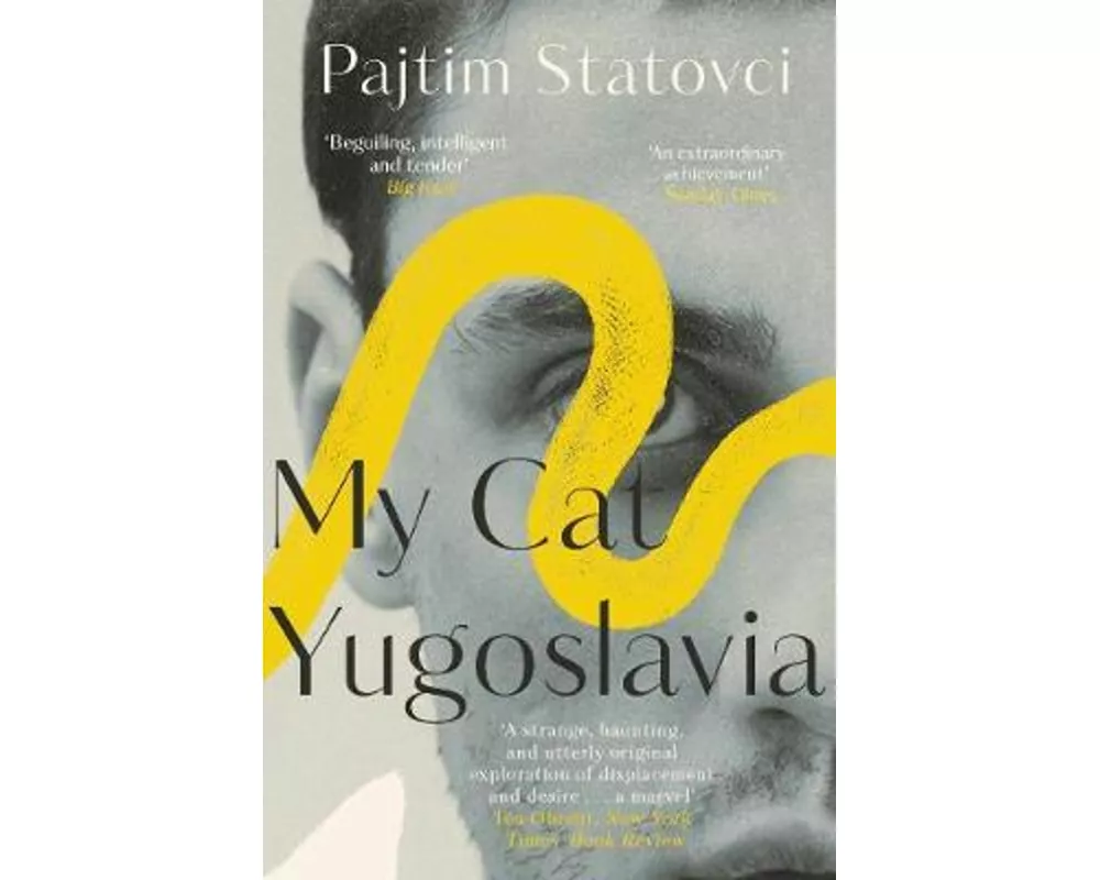 My Cat Yugoslavia