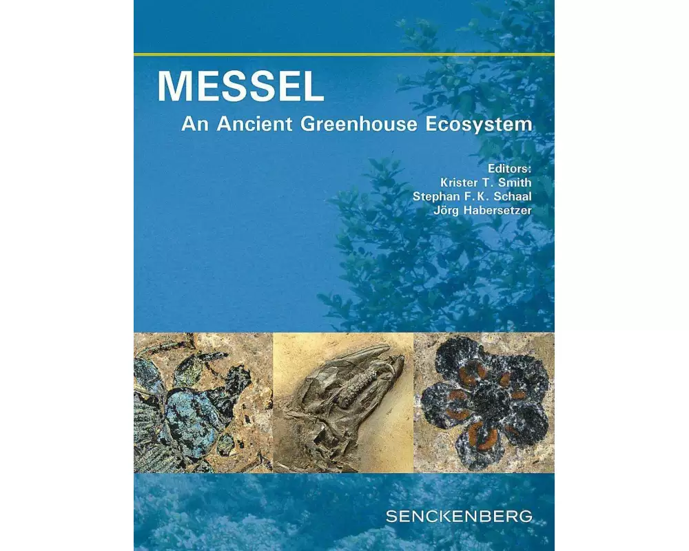 MESSEL - An Ancient Greenhouse Ecosystem