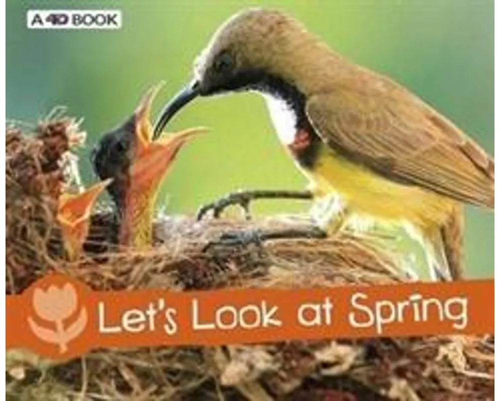 Let's Look at Spring