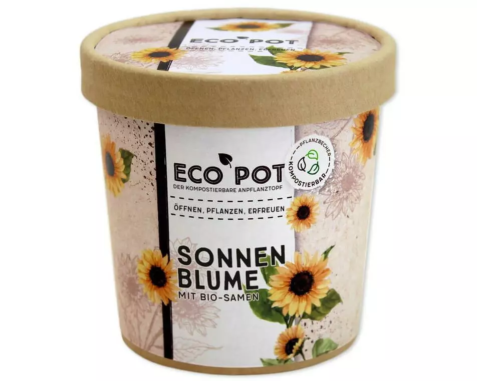 Feel Green EcoPot Sonnenblume BIO