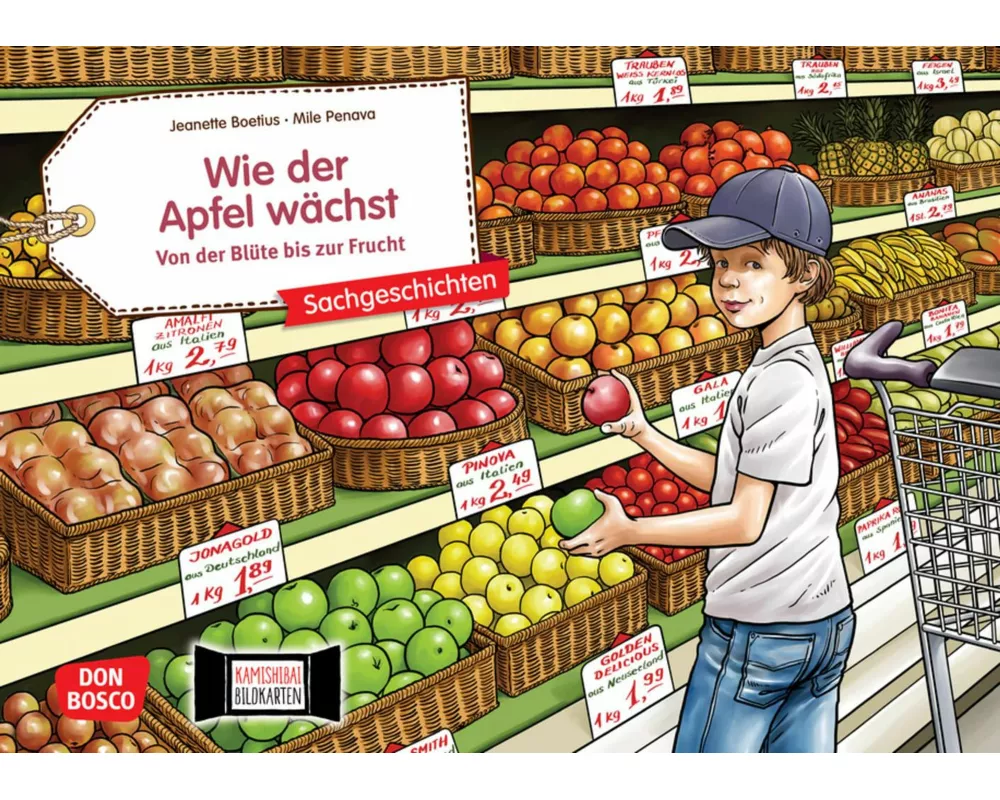 Wie der Apfel wächst. Von der Blüte bis zur Frucht. Kamishibai Bildkartenset