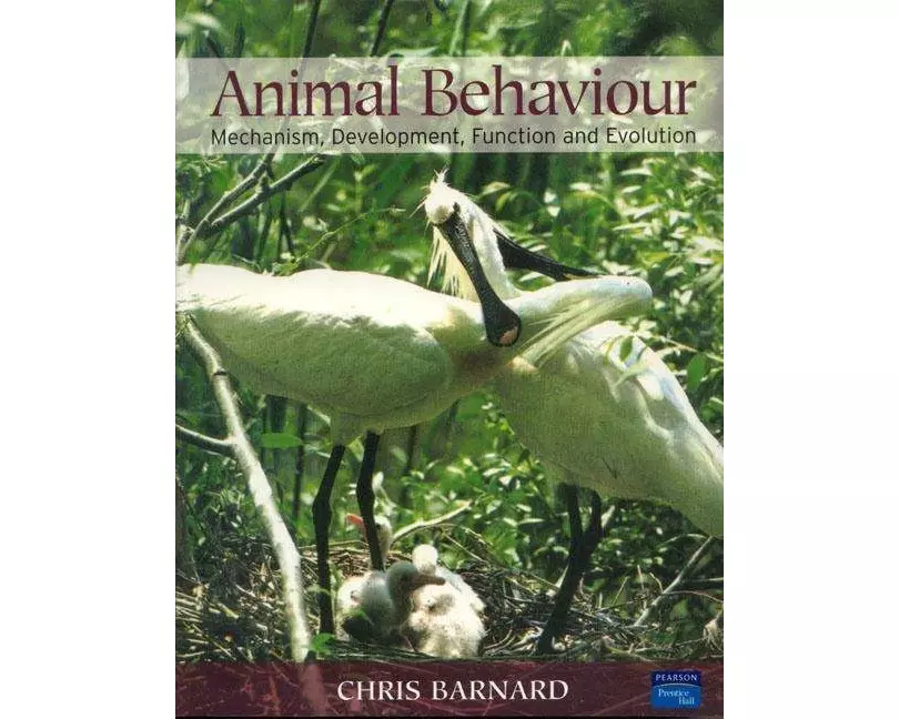 Animal Behaviour