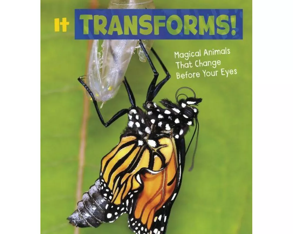 It Transforms!