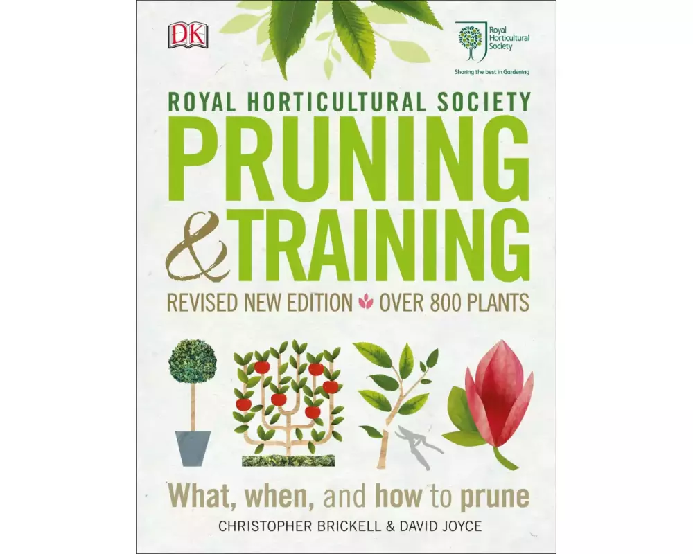 RHS Pruning and Training